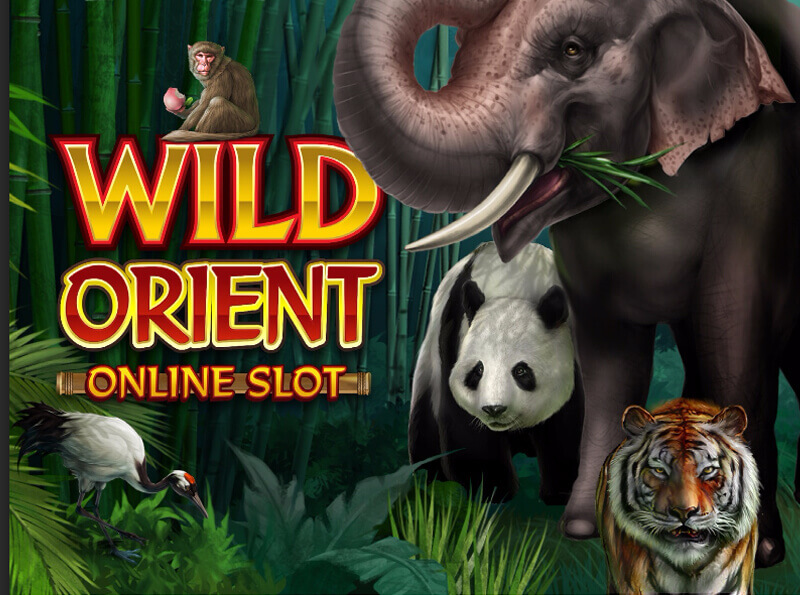 Image of Wild Orient Online Slot