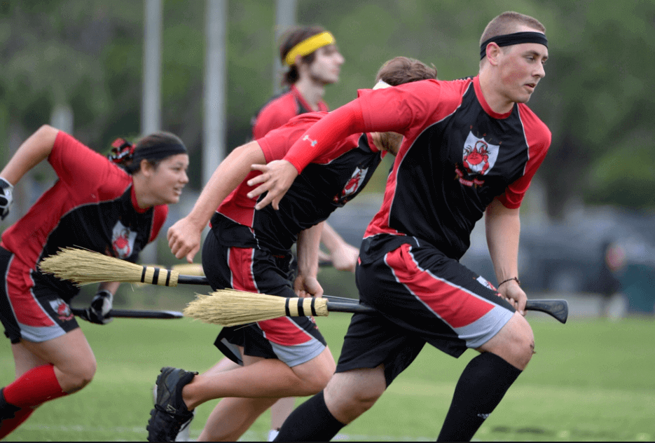 IMAGE O9F THE qUIDDITCH wORLD cUP
